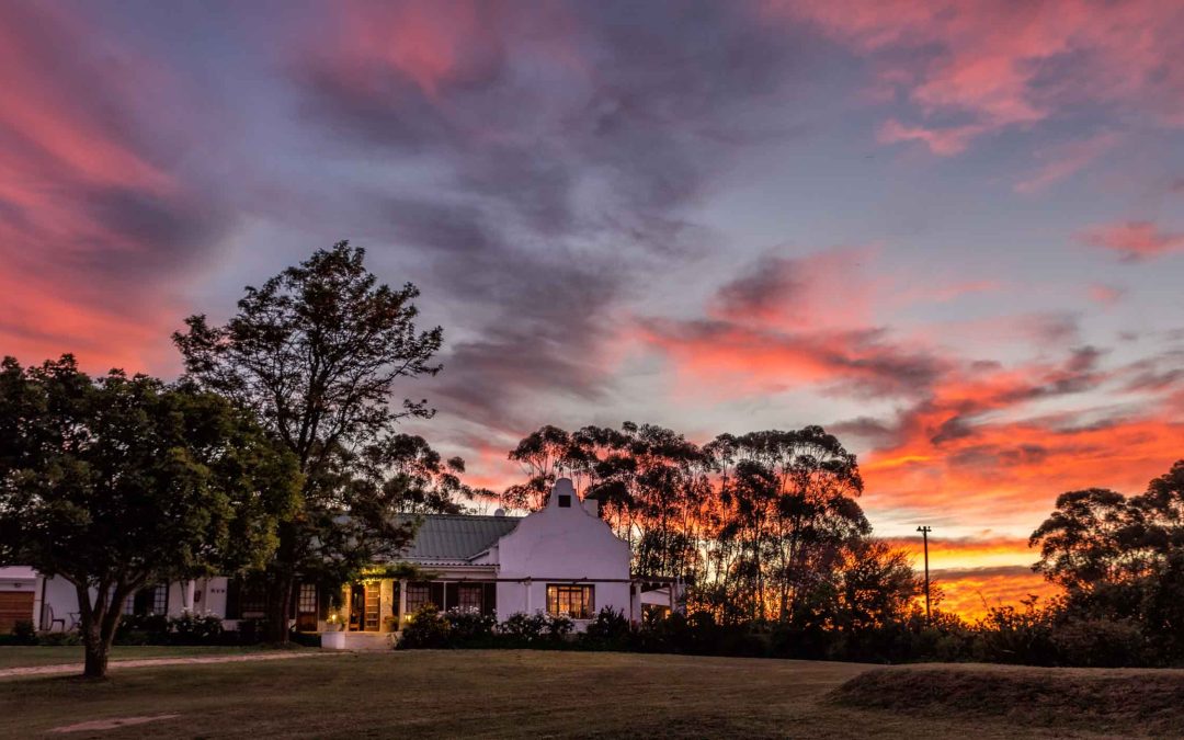 Nonna Rosa Bush Camp
