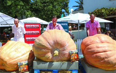 Giant Pumpkin Champion