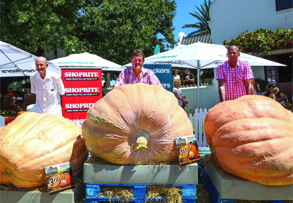 Giant Pumpkin Champion