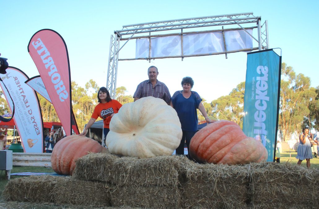 Winner of the 2016 Giant Pumpkin