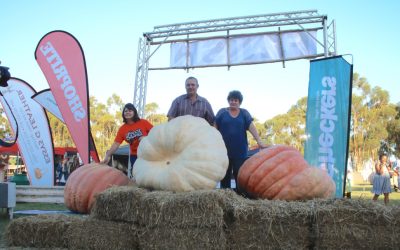 Winner of the 2016 Giant Pumpkin