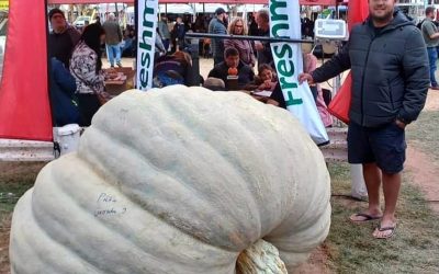 2024 Pumpkin Competition