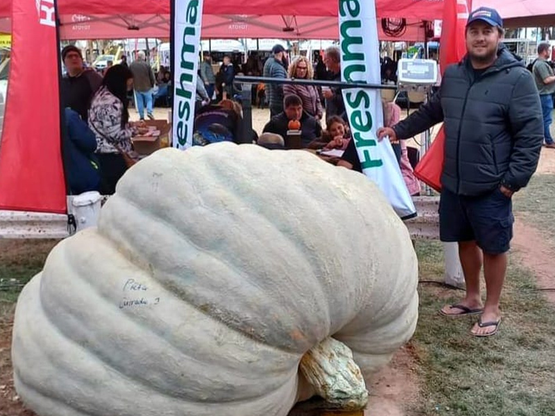 2024 Pumpkin Competition